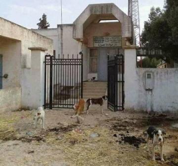 صورة حقيقية