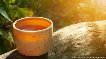 الشاي الأخضر وصحة القلب.. فوائد محتملة بشرط الاعتدال