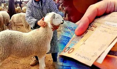 بين قطاعات "تمنح" وأخرى "تتفرج".. دعوات لتعميم منحة العيد لضمان تكافؤ الفرص أمام "الحولي"