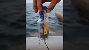 شاهد ماذا وجدوا في كورنيش الناظور