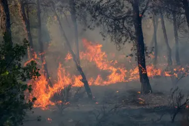 حرائق الجزائر.. لماذا يفضل النظام العسكري كلفة الخسائر البشرية على قبول "كنادير" المغرب؟