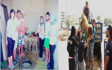 " ناس الحومة " و " هيرو فاميلي " مجموعات فيسبوكية تخلق الحدث في عيد الأضحى