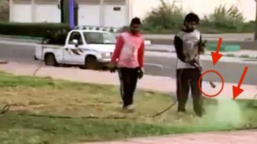 فضيحة : عمال بلدية يرشون الحدائق الميتة بدهان أخضر لتمويه موكب أمير سعودي ( الفيديو )