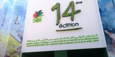 سيام 2019.. بريد المغرب يصدر طابعين بريدين جديدين حول النحلة وشجرة الليمون