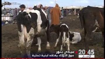 سيدي بنور: سوق الثلاثاء من بين أكبر الأسواق الوطنية