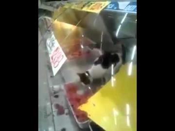 فضيحة صادمة: قط منهمك في أكل الكفتة بأكبر المراكز التجارية
