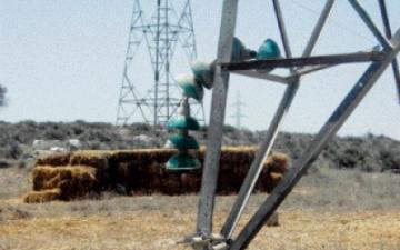 عصابات السطو على الأسلاك الكهربائية تضرب بقوة ببني مغيث والمنصورية 