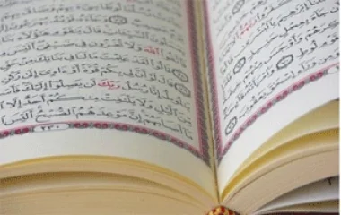 ضبط رجل يمزّق المصاحف ويدنّسها في مراحيض المساجد..بالسعودية