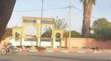 الغلوسي يواصل "قصف" التويزي والنخبة المسيرة للشأن المحلي بأيت أورير