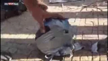 تفجير قرب جامعة الأزهر بالقاهرة