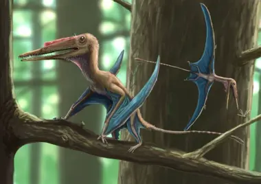 اكتشاف ديناصور طائر جديد في الصين يعود إلى 160 مليون سنة