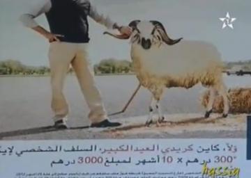 الحولي بالكريدي