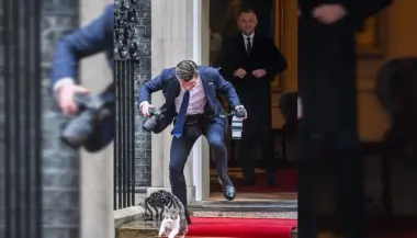 القط "لاري" يخطف الأضواء في لحظة طريفة خلال زيارة الرئيس البولندي إلى لندن