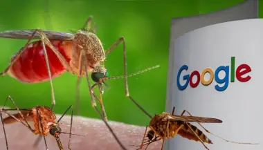 غوغل تستعد لإطلاق ملايين البعوض.. خطة غريبة لمحاربة الأمراض