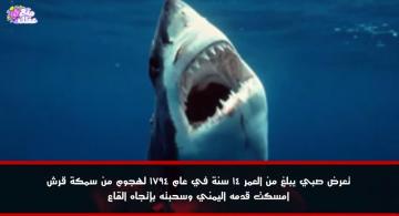 أغرب قصص النجاة من هجوم القرش المفترس على البشر
