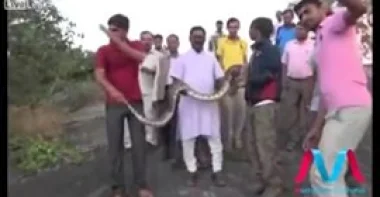 بالفيديو.. ثعبان ضخم ينقض على شاب أثناء التقاط سيلفي معه