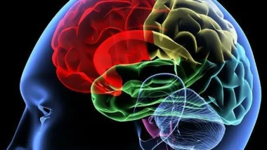 هل تعلم ان الحكمة تزداد مع التقدم في السن
