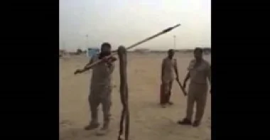 بالفيديو.. جنود سعوديون يصطادون ثعبانا عملاقا