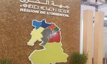 جهة الشرق.. رصد حوالي 1,5 مليار درهم لتأمين التزويد بمياه الشرب والسقي