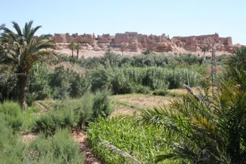 واحات تافيلالت