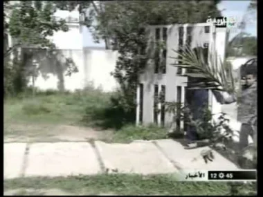 ظاهرة العنف الأسري