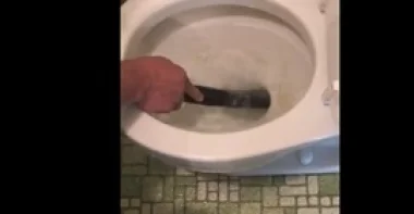 بالفيديو.. رجل يستخرج ثعبانا كبيرا من مرحاض جارته