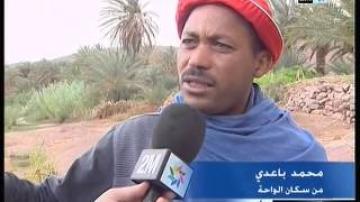 واحة فينت ورزازات