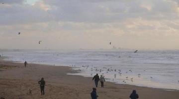مجموعة من الجرار مليئة بالرماد البشري تغزو شواطئ هولندا