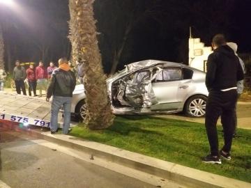 كلب ضال يتسبب في فاجعة طرقية بين أكادير وإنزكان