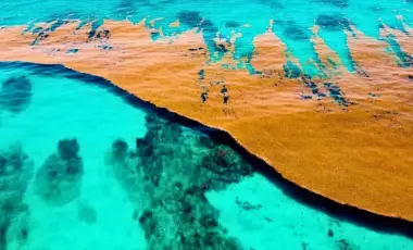 بحر بلا شواطئ وسط الأطلسي يكشف تغيرات مقلقة في مياه المحيط