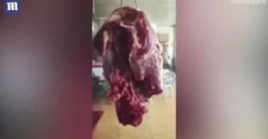 بالفيديو.. لقطات مخيفة لقطعة لحم تتحرك في محل جزارة