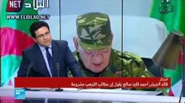 الجزائر: أنباء عن اجتماع المجلس الدستوري بعد خطاب قايد صالح الأخير