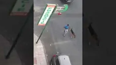 مشرملين يروعون التلاميذ بالكلاب أمام مدرستهم بالدارالبيضاء