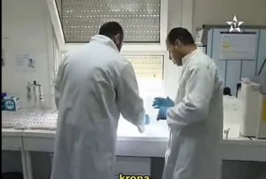 مصدر ومكونات الكتلة الثلجية التي سقطت في الخميسات