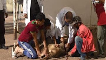 ادخال فرحة عيد الأضحى على نزلاء خيرية أحمد ابن زايد آل نهيان بعين عتيق
