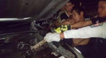 بالفيديو: عامل يعض ثعباناً من ذيله بعدما التف حول محرك سيارة