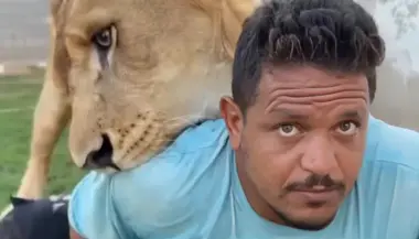 فيديو صادم لأسد يهاجم عاملاً مصرياً يثير غضباً واسعاً في ليبيا