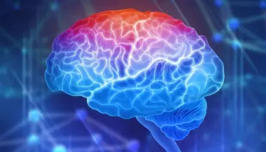 دراسة تكشف سرًا جديدًا في الدماغ.. "توقيت" الدوبامين قد يحدد التعلم أو الحركة