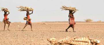 الجفاف يبلغ مستويات غير مسبوقة في الصومال ويتسبب بنزوح مليون شخص