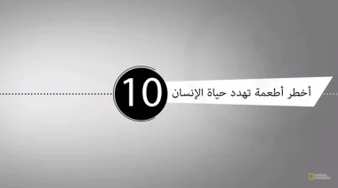أخطر 10 أطعمة تهدد حياة الإنسان