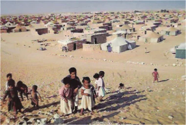 أمام فتور الجمعيات المغربية ، جمعيات اسبانية تنظم رحلات لأطفال تندوف
