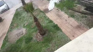 سقوط تبروري في كازا و كأنها ثلوج