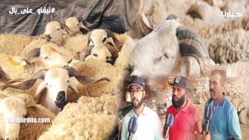 قبيل العيد من منطقة تمدروست: إقبال كبير للمواطنين على الضيعات والحولي من 1500 درهم إلى 4000