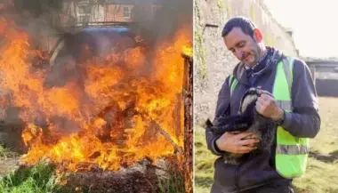 بريطانية تُحرق سيارة جارها بسبب اتهام غريب لحيوانه البري