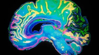 10 حقائق مثيرة تتميز بغرابتها قد لا تعرفها