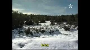 بساط أبيض من الثلج بجرادة