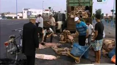 الدارالبيضاء : مواطنون يرمون جلود الأضاحي على الطرقات الرئيسية