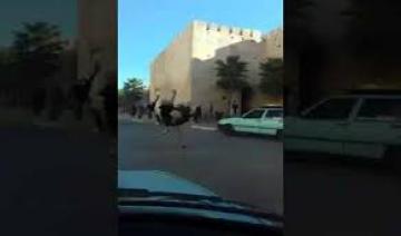 نعامة تستنفر ساكنة "حي الهديم" بمكناس