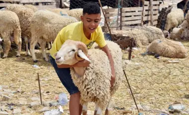 على خطى الجزائر.. تونس تقرر عدم إلغاء نحر أضحية العيد رغم الأزمة الخانقة ونشطاء ينشدون الاقتداء بأمير المؤمنين