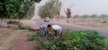 يا لطيف... رياح قوية جدا تسقط الأشجار واشتعال النيران وهلع وسط ساكنة هذه المناطق (فيديو وصور)